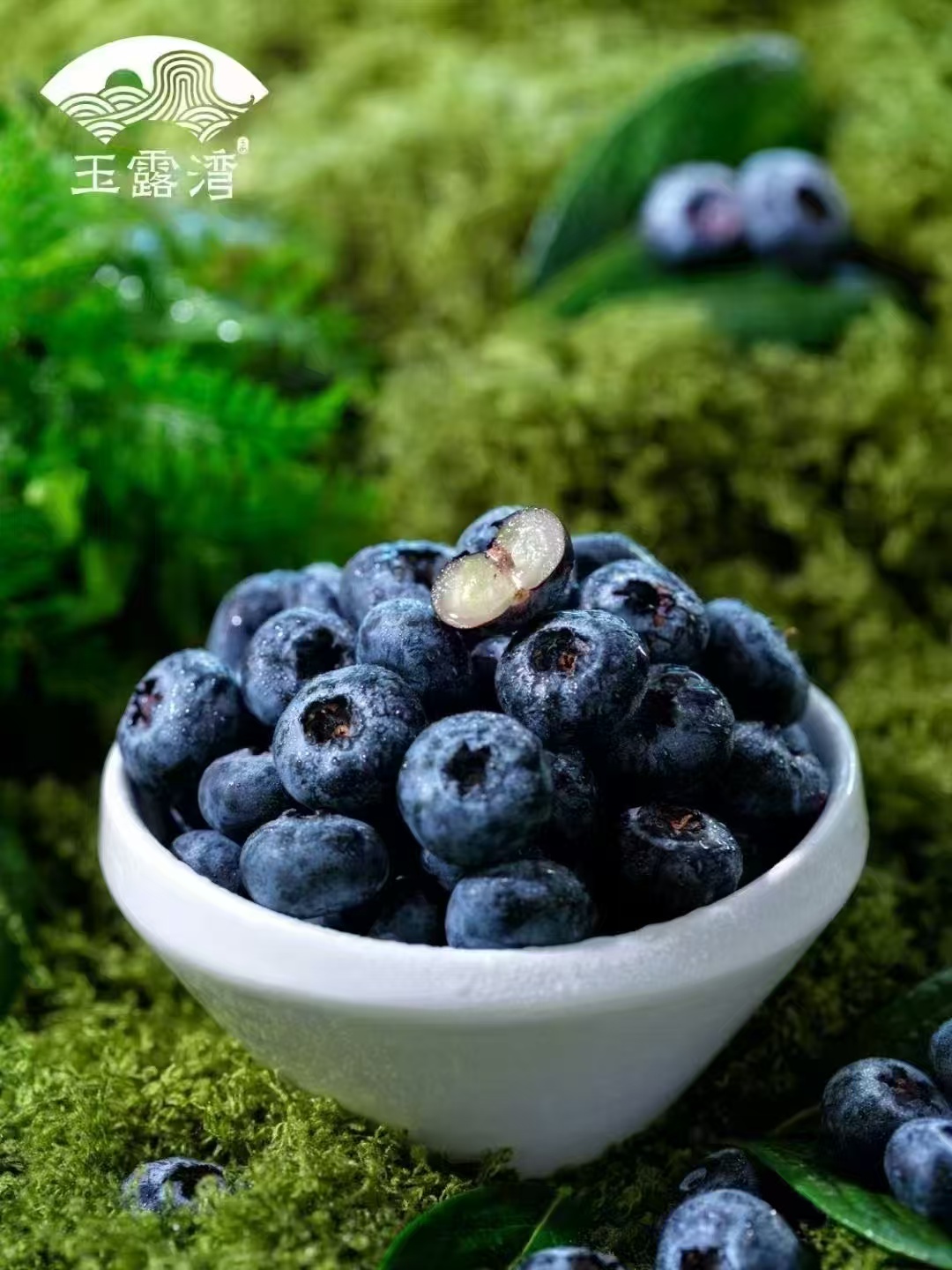尊龙凯时(中国区)人生就是搏!